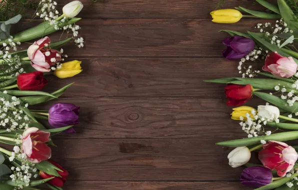 Цветы, colorful, тюльпаны, flowers, beautiful, tulips, spring, multicolored