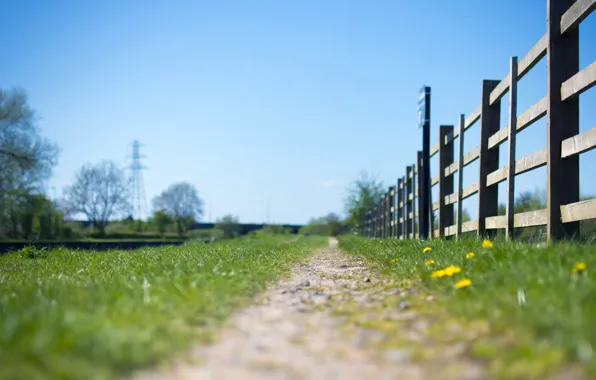 Картинка grass, sky, flowers, fence, path, sunny, power line