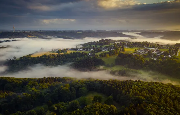 Деревья, туман, поля, дома, Germany, Solingen