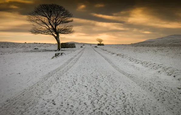 Картинка поле, снег, вечер