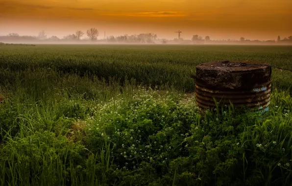 Картинка поле, пейзаж, закат, туман