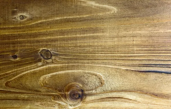Background, Texture, Wood Panel