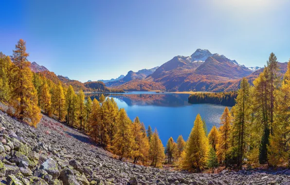Осень, лес, деревья, пейзаж, озеро, отражение, камни, берег