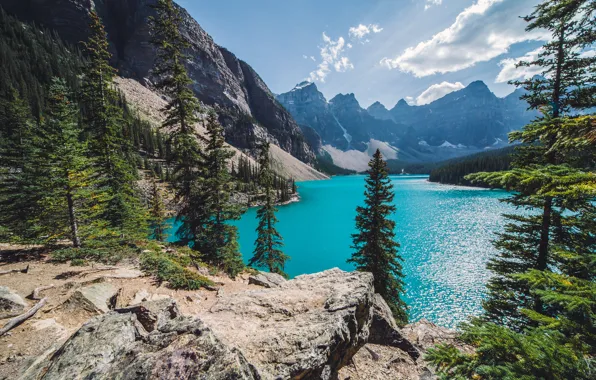 Картинка лес, горы, озеро, Канада, Canada, Moraine Lake, Banff