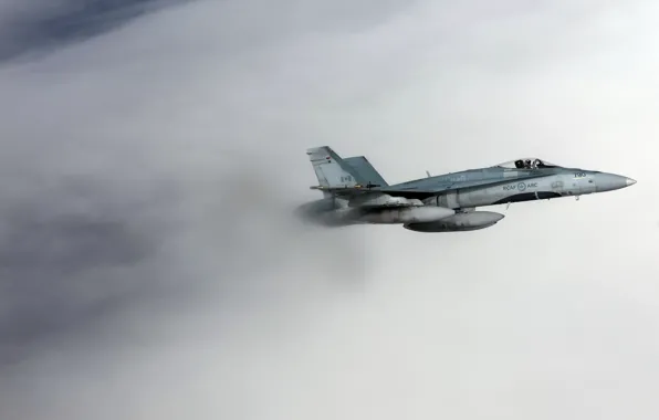 Оружие, самолёт, CF-18 Hornet, Royal Canadian Air Force