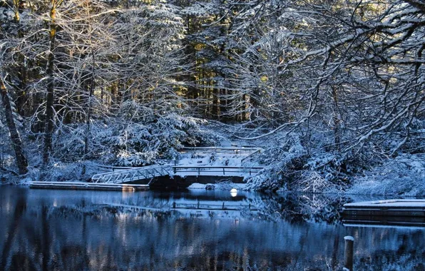 Картинка вода, снег, деревья, мост, озеро