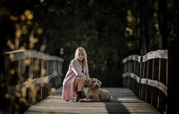 Картинка девушка, мост, собака