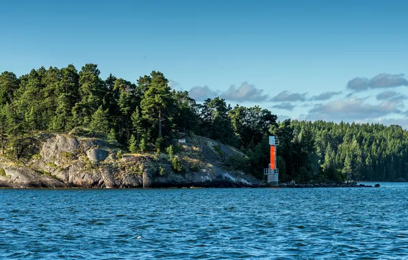 Картинка лес, деревья, река, берег, Швеция, скалистый, Stockholm