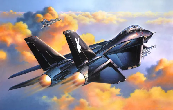Картинка небо, авиация, обои, истребитель, F-14A Black Tomcat