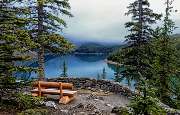 Картинка деревья, скамейка, озеро, ели, Banff National Park, Lake Moraine