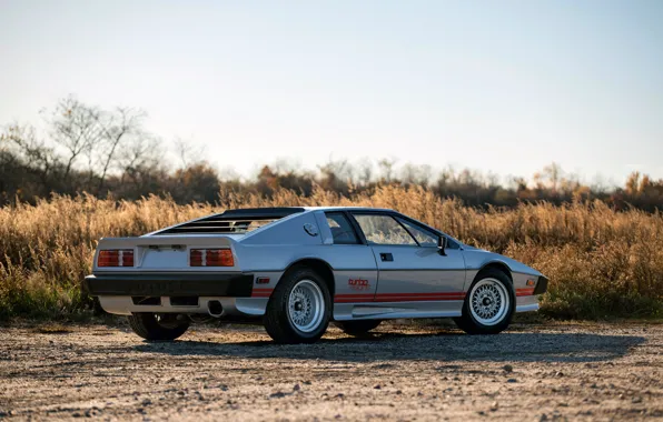 Lotus, Esprit, sports car, Lotus Esprit Turbo