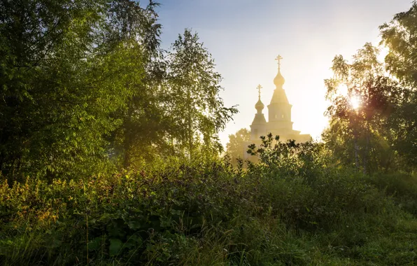 Лето, деревья, природа, утро, церковь, травы