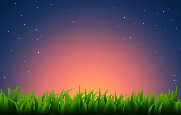 Трава, звезды, закат