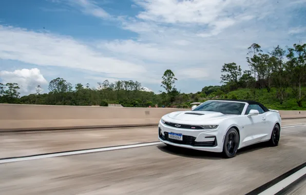 Картинка Chevrolet, Camaro, white, muscle car, Chevrolet Camaro SS Convertible