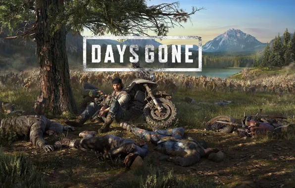 Gone, biker, PS4, Days, Zombies, Days Gone, Appocalipse