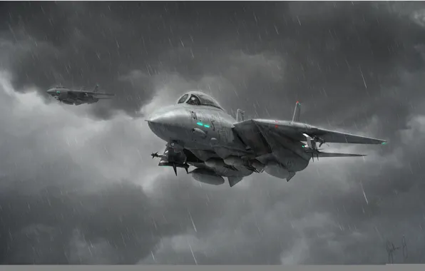 Картинка авиация, истребитель, арт, самолёт, реактивный, F-14, перехватчик, Томкэт