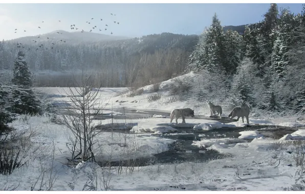 Картинка зима, лес, снег, ручей, волки