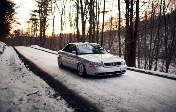 Лес, снег, Audi, ауди, серебристая, stance, догога