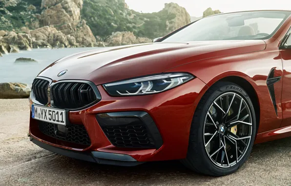 BMW, кабриолет, передняя часть, 2019, BMW M8, M8, F91, M8 Competition Convertible