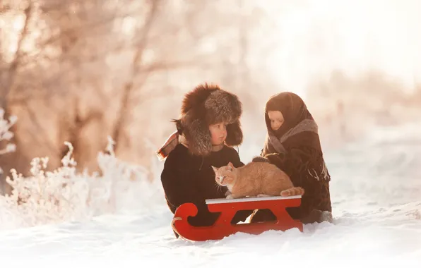 Картинка зима, кот, снег, дети, мальчик, девочка, санки