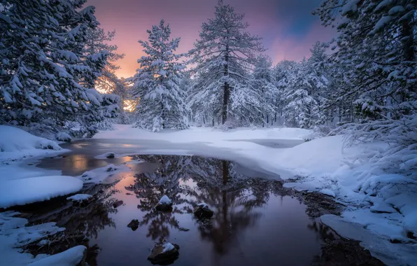 Картинка зима, лес, снег, деревья, закат, река, Кипр