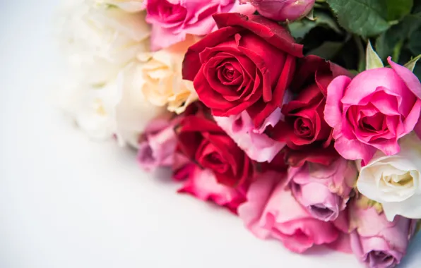 Картинка цветы, розы, букет, red, бутоны, pink, flowers, romantic