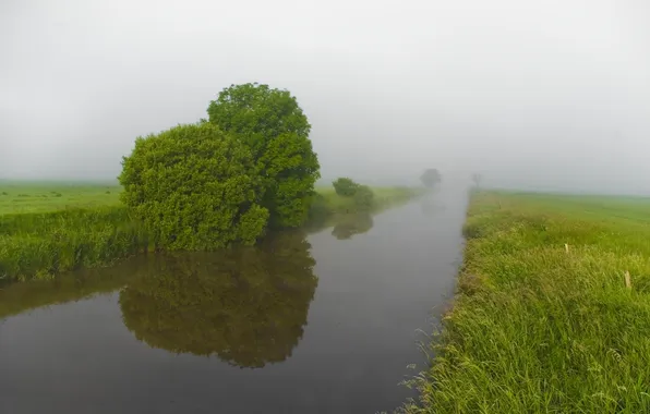 Картинка лето, природа, туман, река, утро, зеленые, берега