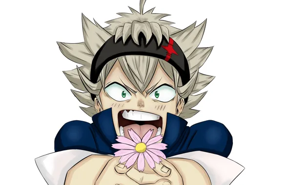 Цветок, белый фон, парень, Black Clover