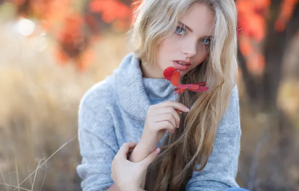 Осень, листья, девушка