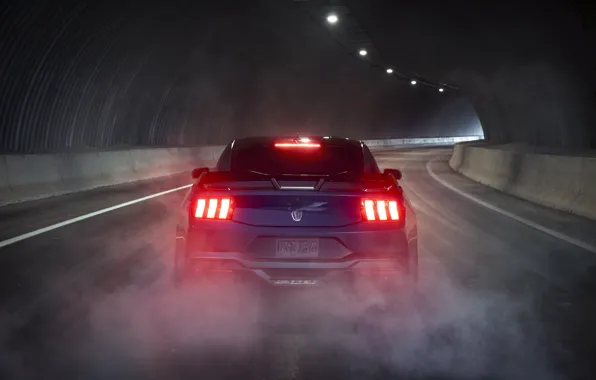 Mustang, Ford, rear view, 2024, Ford Mustang Dark Horse