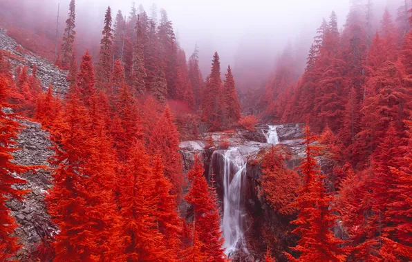 United States, Washington, Denny Creek, Keekwulee Falls