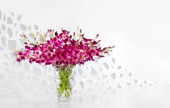 Цветы, букет, ваза, Purple, орхидеи, Vase, Orchids