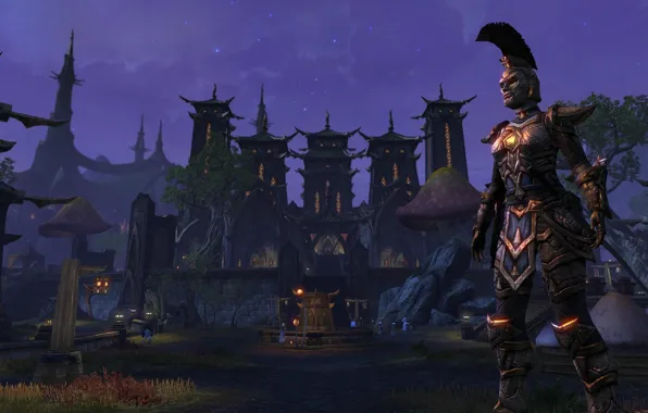 Картинка город, воин, The Elder Scrolls Online, Ноч