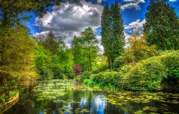 Картинка зелень, трава, облака, деревья, пруд, парк, Англия, обработка