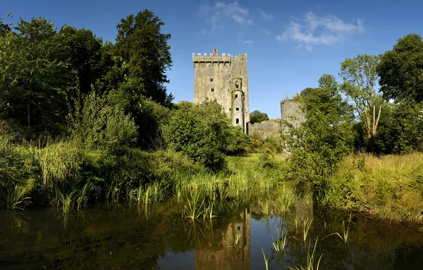 Картинка пруд, замок, ирландия