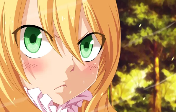 Kawaii, girl, game, forest, green eyes, eyes, blush, anime