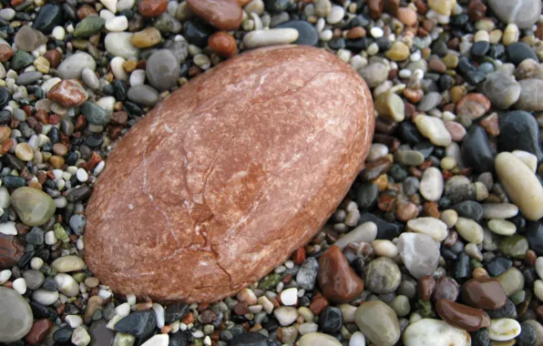 Галька, разноцветные, мокрые, картинка макро, морские камешки, гладкий камень