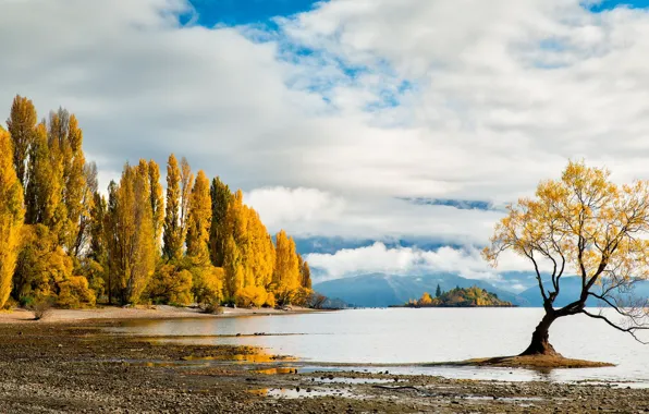 Картинка осень, деревья, озеро