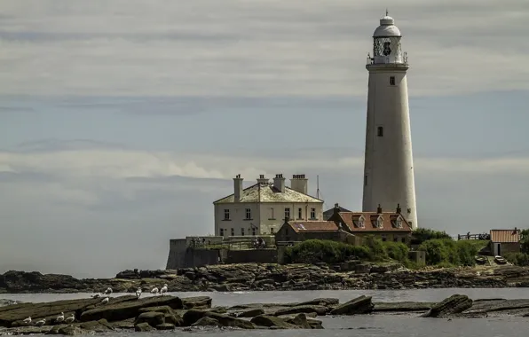 Картинка маяк, Англия, England, United Kingdom, Seaton Sluice, Saint Mary's Lighthouse, Hartley beach