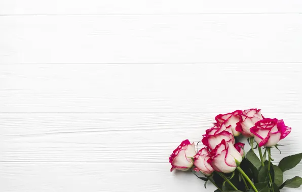 Картинка цветы, фон, розы, букет