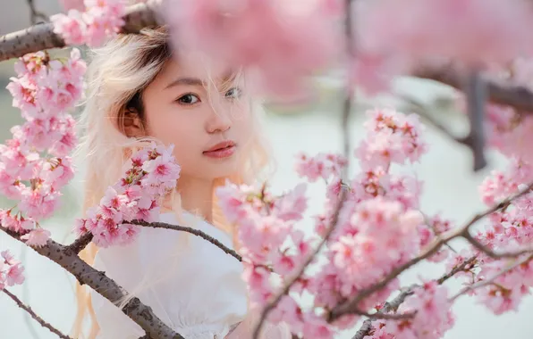 Petite, Close Shot, Diandian, Close Up, Woman, Cute, Pretty, Smile