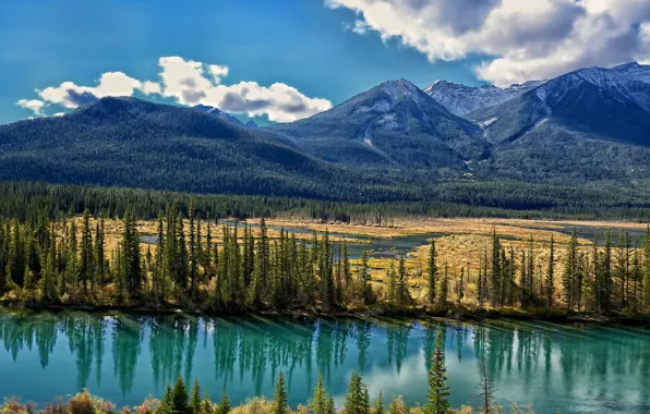 Картинка деревья, горы, долина, Канада, Альберта, Alberta, Canada, река Боу