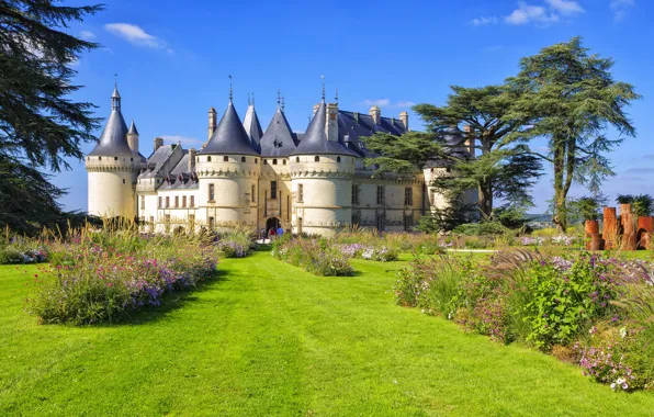 Цветы, замок, Франция, лужайка, Chaumont-sur-Loire castle