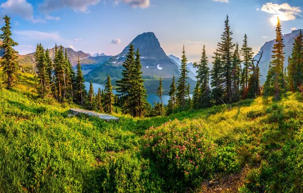 Природа, Озеро, Nature, Lake, Panoramic view, Mountainous Grassland, Горные пастбища, Панорамный вид