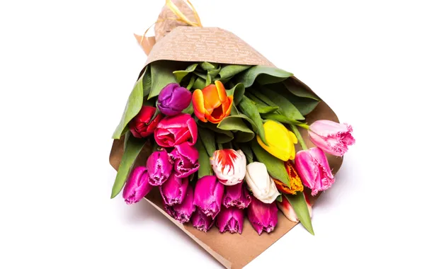 Цветы, желтые, тюльпаны, розовые, Tulips, multicolored, Bouquets