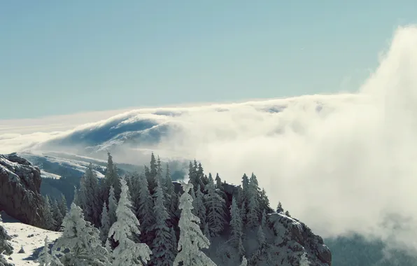 Картинка зима, лес, облака, горы