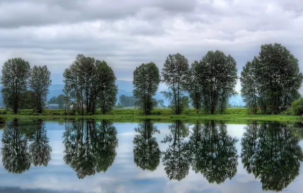 Картинка небо, облака, деревья, река, Канада, Canada, British Columbia, Pitt Meadows