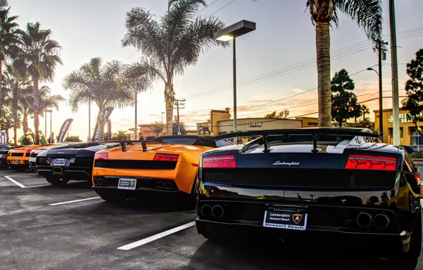 Картинка Lamborghini, gallardo, murcielago, суперкары, aventador