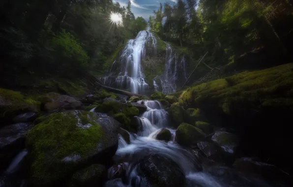Картинка лес, ручей, камни, водопад, мох, Орегон, каскад, Oregon