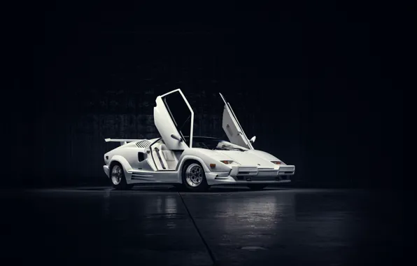 Lamborghini, Countach, legend, 1989, scissor doors, Lamborghini Countach 25th Anniversary